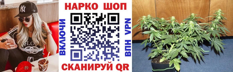 A PVP Калининград