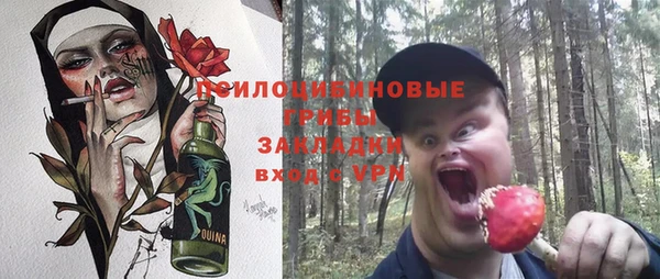 мдпв Абаза