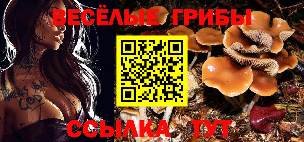 Галлюциногенные грибы Psilocybine cubensis  Псилоцибиновые грибы мухоморы  Калининград  где купить наркоту  Вход с VPN 