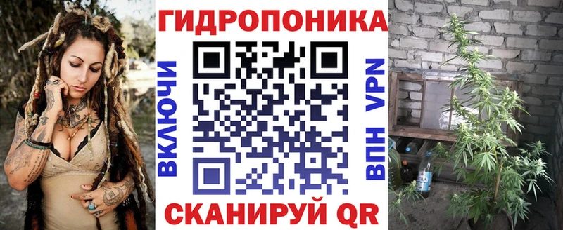 Каннабис план Калининград